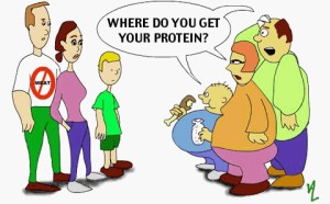 protein1