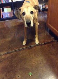 Seriously, she does NOT want that broccoli.