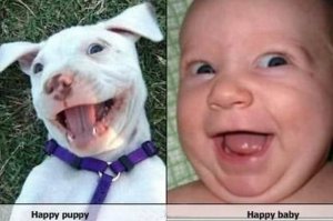 HappyPupBaby